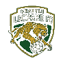 Seattle Leopards FC